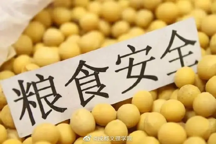 国家发改委：确保国家粮食安全是乡村振兴首要任务