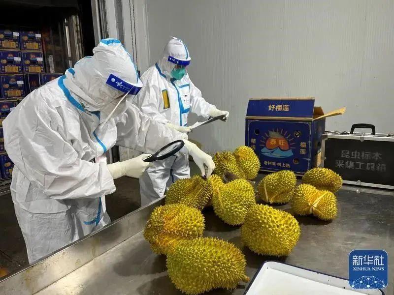越南蔬果制品出口额跻身10亿美元名单