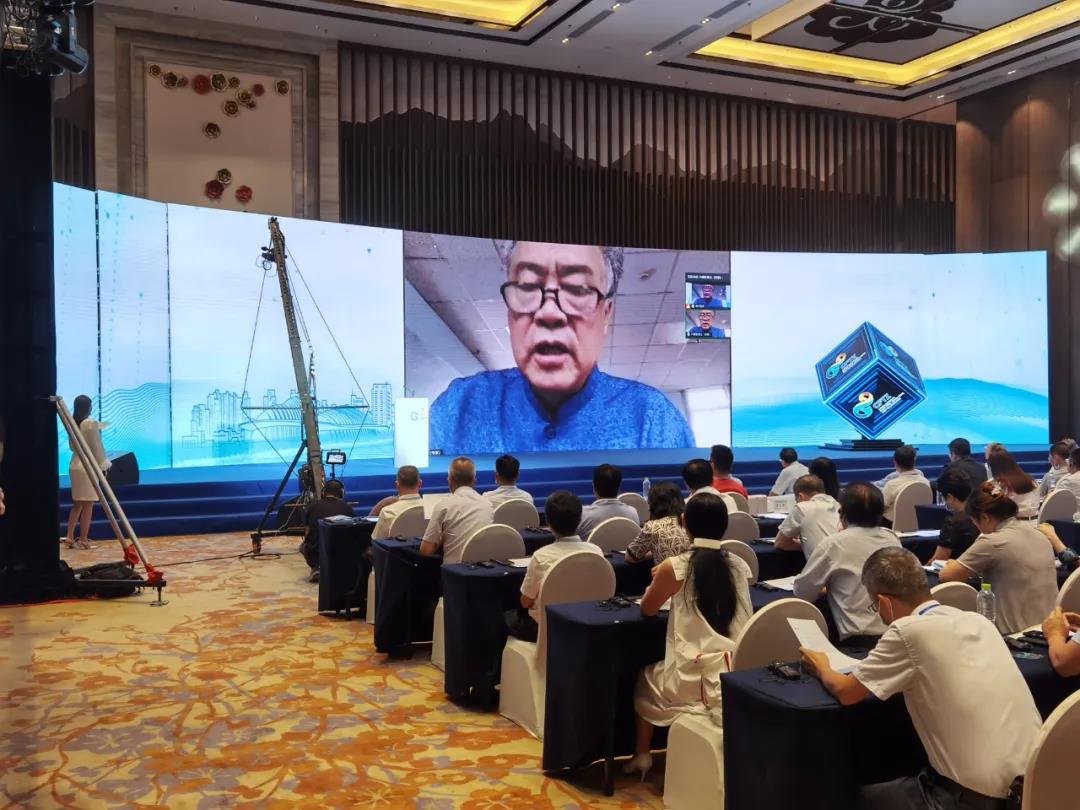 中国（广西）自由贸易试验区南宁片区创新发展智库首次“云咨询”活动成功举办(图5)