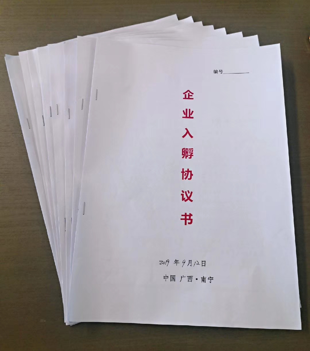 2019“邕抱人才  智慧绿城”八桂海智基地高层次人才与项目对接会(图1)