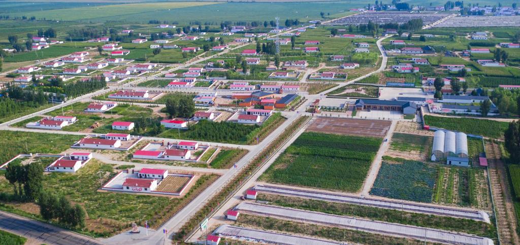 习近平总书记关切事|“第一棒”跑得怎么样? ——驻村第一书记奋战乡村振兴新征程观察(图2)