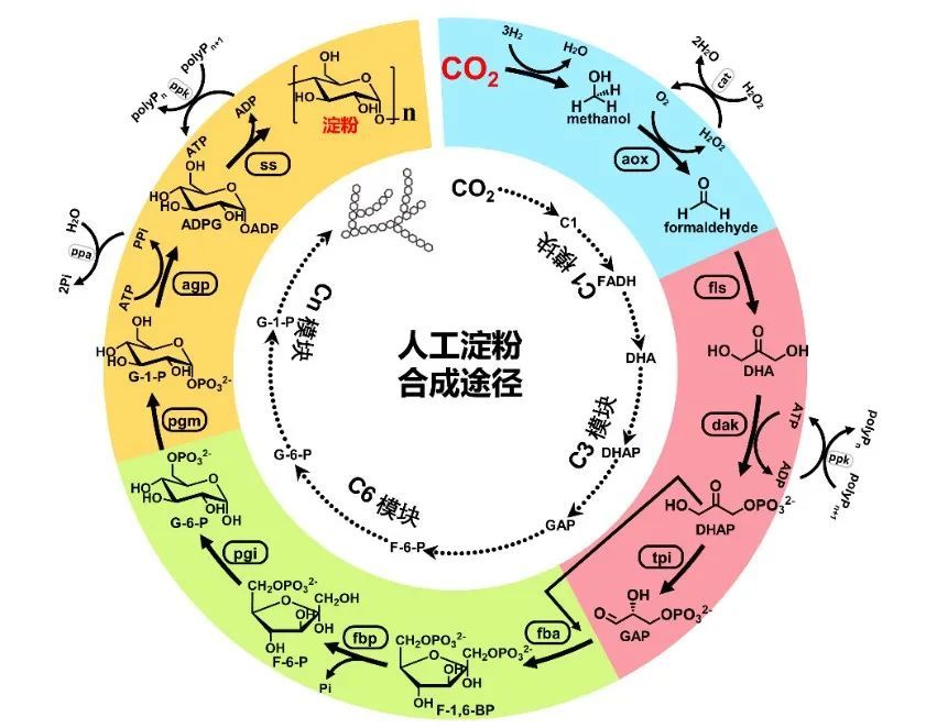 2021年度中国科学十大进展公布(图3)