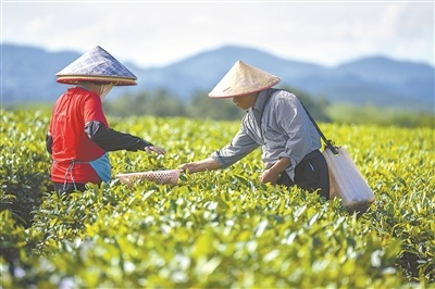 新时代推进共同富裕的重大历史意义(图2)