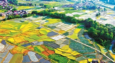新时代推进共同富裕的重大历史意义(图1)