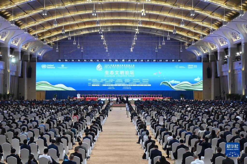 胸怀天下谋大同——习近平主席倡导的全球治理观深刻启迪世界(图3)
