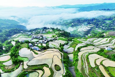 广西：从"边陲末梢"到开放前沿(图3)