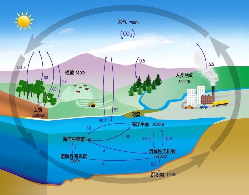每日科普|碳里藏着地球的大秘密(图1)