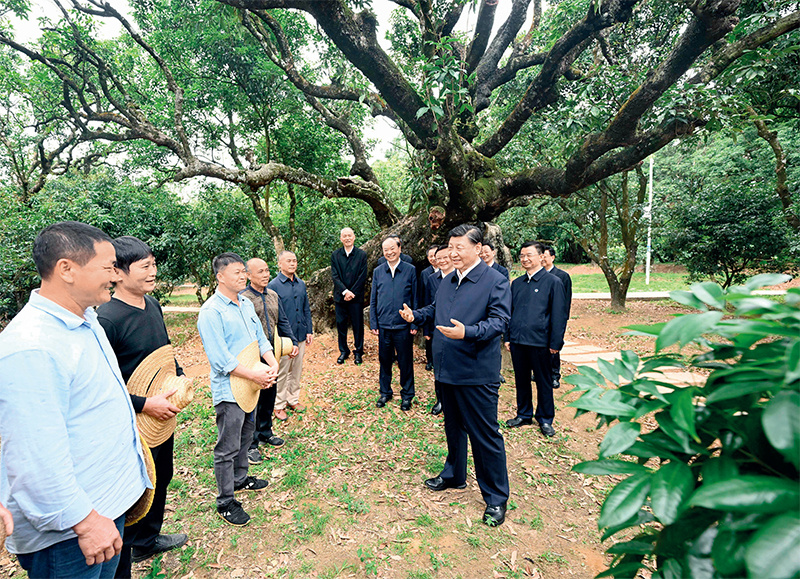 习近平：加快构建新发展格局 把握未来发展主动权(图2)